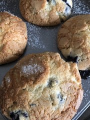 Lemon Blueberry Muffins * Homemade with Organic Ingredients