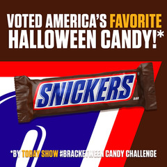 Fun Size Chocolate Candy Bars – 10.59 Oz Bag