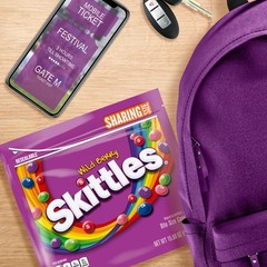 Wild Berry Chewy Candy Share Size Movie Night Party Favor Candy Snack, 15.6 O…