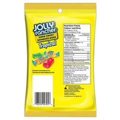 198g Tropical Hard Candy – Sweet, Vegetarian Treats for Gift Bags & More