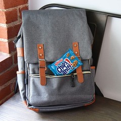 Snack Variety Pack: OREO Mini Cookies, CHIPS AHOY, RITZ Cheese Crackers & More –