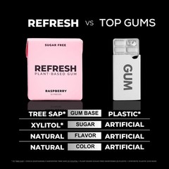 Sugar Free Raspberry Chewing Gum Natural Flavors Organic 12 Pack Plastic Fre…