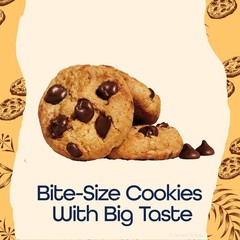 Sweet Treat for Everyone: 30 oz Box of Chocolate Chip Cookies – Perfect Snack