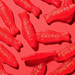 Party-Ready 5 lb Soft & Chewy Gummy Candy – Great for Movie Nights