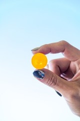 SweetGourmet Sugar-Free Butterscotch Hard Candy | Individually Wrapped |