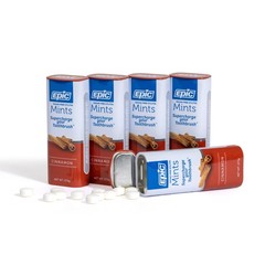 Epic 100% Xylitol Mints – Aspartame Free, 55 Count (Pack of 5), Cinnamon