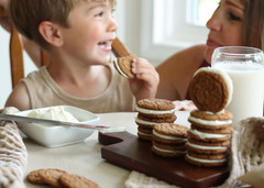 Ginger SNAPS Cookies – 14Oz Bag – Ginger Flavored Cookies with No High Fructose