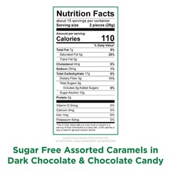 RUSSELL STOVER Sugar Free Assorted Caramels in Chocolate Candy, 15.3 oz. bag