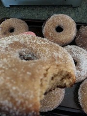 Apple Cider Donuts * Cinnamon Apple Cider Donuts * Fall Favorite *