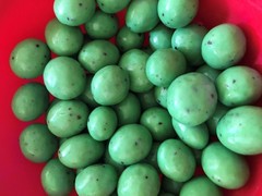 Organic Chocolate Covered Espresso Beans – 4oz boxes Multiple Flavors Available