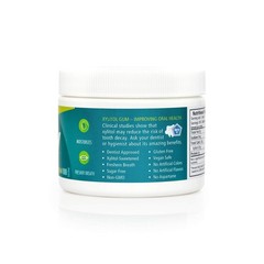 Aspartame-Free Xylitol Gum – Wintergreen Flavor for Fresh Breath, 100 Count