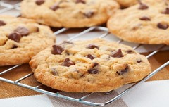 Sugar Free Organic Cookies – Almond Flour, Allulose Sweetened, Gluten Free, Diab