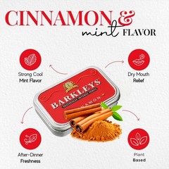 Cinnamon Breath Mints – Vegan After Dinner Fresheners in Reusable Travel Tins