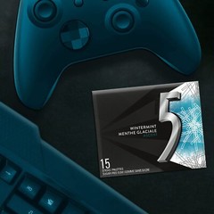 5 GUM Wintermint-Ascent Flavoured Sugar Free Chewing Gum 15 Sticks 10 Packs