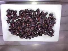 Fresh Homemade Roasted Cacao Brittle from Homegrown Cacao , appr. 1 1/2 lbs