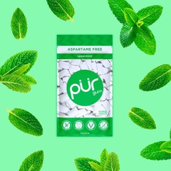 PUR Gum | Aspartame Free Chewing | 100% 55 Count (Pack of 3), Spearmint