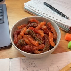 Chamoy Chili Gummy Worms Candy | 16 oz (1 LB) Bag | Mexican Style Spicy Candy