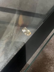 Rare limited edition gold mini Haribo gummy bear pineapple flavored.