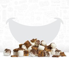 Freeze Dried S’mores with Marshmallow Chocolate Graham Cracker, Crazy Candy S…