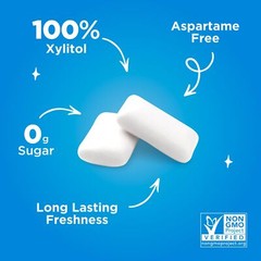 PUR Peppermint Sugar Free Chewing Gum Pack of 55 Pieces Vegan Non GMO 80 Calo…