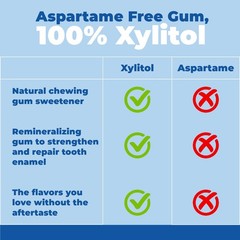 Gum Aspartame Free 100% Xylitol Chewing Gum Sugar Free Gum Peppermint Spearmint
