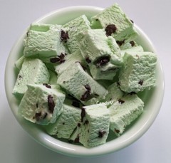 Freeze Dried Ice Cream – MINT CHOCOLATE CHIP 2oz Astronaut Ice Cream