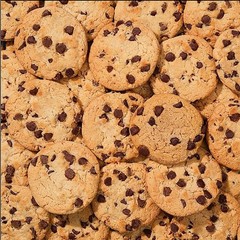 Chocolate Chip Cookies 13 oz Crunchy Kosher Snack Cookies