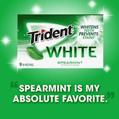 Trident White Spearmint Sugar Free Gum 16 Count Bulk 144 Total Pieces