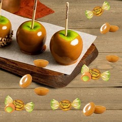 Werther’s 2.65 oz Harvest Caramels CARAMEL APPLE FILLED Hard Candies *BB 4/2026*