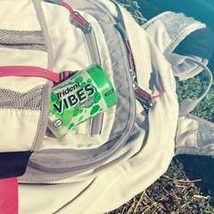 Trident Vibes Spearmint Rush Sugar-Free Chewing 40 Count (Pack of 6), Crunchy