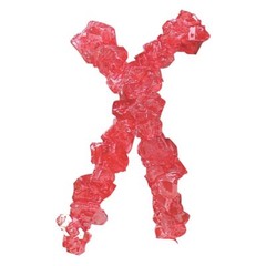 Bayside Candy Rock Candy String – Rock Candy Crystals All Flavors – ALL Colors