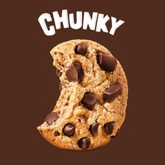 Family Size Chunky Fudgy Chocolate Chip Cookies 3 Pack 18 oz