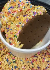 Peanut Brittle crunch Dairy queen 1 lb Krunch Kote Ice Cream Topping, Sprinkles