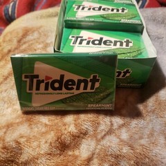 12 Packs Trident Spearmint Flavor Sugar Free Gum | 14 Sticks Per Pack (Case)