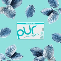 PUR Gum | Aspartame Free Chewing | 100% 9 Count (Pack of 12), Wintergreen