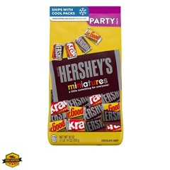 Miniatures Assorted Chocolate Candy Bulk Variety Party Pack, 30 oz