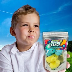 Freeze Dried Candy Fan Favorites 5 Count Variety Care Package Gift Box Bundle