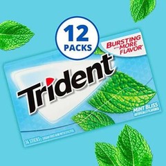 Trident Mint Bliss Sugar Free Gum, 12 Packs of 14 Pieces (168 Pieces)