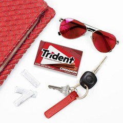 Trident Cinnamon Sugar-Free Chewing Gum, 12 14 Count (Pack of 12),