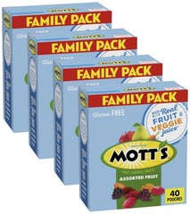 Mott’s Assorted Fruit Flavored Snacks – 40 Pack – Gluten Free Gummies