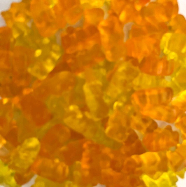 “ORANGE and LEMON” Flavored Gummi Gummy Bears-HALF POUND- 2 FLAVORS