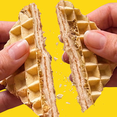 Rip Van Wafels Lemon Cookies, 16 Count, 1g Sugar, 4g Carbs, Vegan, Keto Friendly