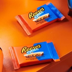 1 Pound-REESE’S OREO Peanut Butter CUP SNACK SIZE Milk Choco Bulk VALUE BAG NOW!
