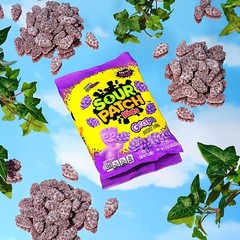 8.02 oz Grape Soft & Chewy Candy – Sweet & Sour Treats for All Occasions
