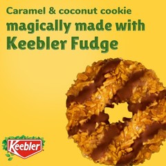 Keebler Fudge Cookies, Coconut Dreams, 8.5oz 8.5 Ounce (Pack of 1), brown