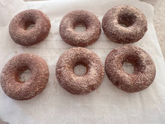 Apple Cider Donuts * Cinnamon Apple Cider Donuts * Fall Favorite *