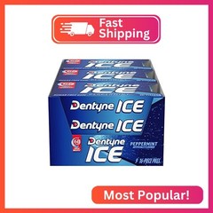 Dentyne Ice Peppermint Sugar-Free Chewing Gum, 9 Packs of 16 Pieces (144 Total P