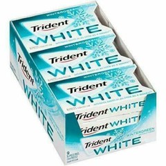 9 Pack Trident White Wintergreen Sugar Free Gum 16 Pieces 2 Pack 288 Total USA
