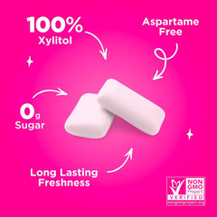 | Aspartame Free Chewing Gum | 100% Xylitol | Natural Flavored Gum, Variety P…