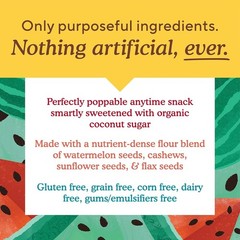 Crispy Honey Cinnamon Seed Thins – All-Natural Gluten-Free Snacks (3 Pack)
